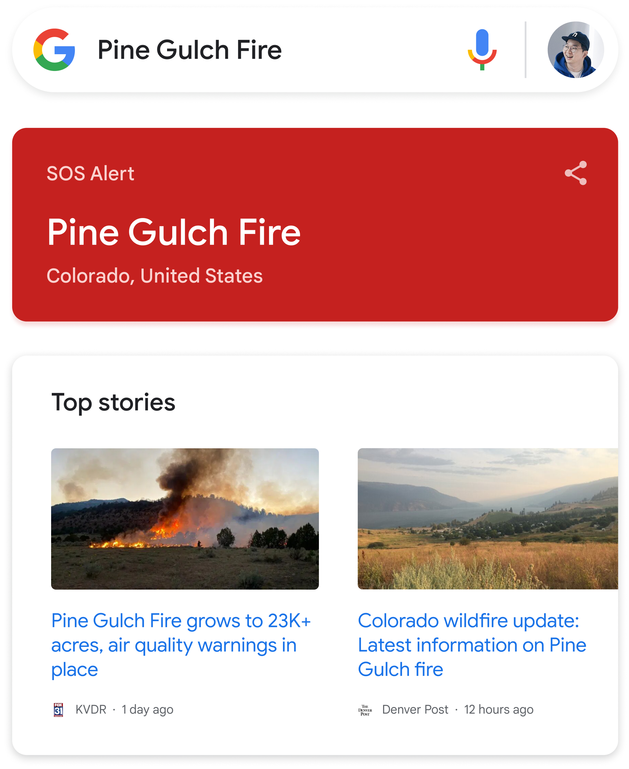 Google Search bar with query 'Pine Gulch Fire'