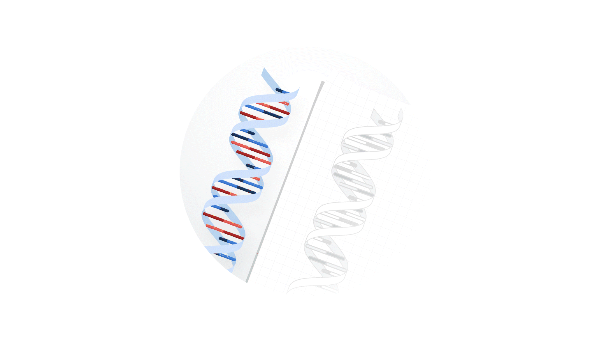 animation of a DNA strand