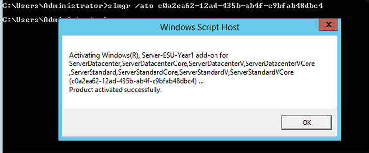 A Windows Script Host dialog box confirms that the product was activated successfully.