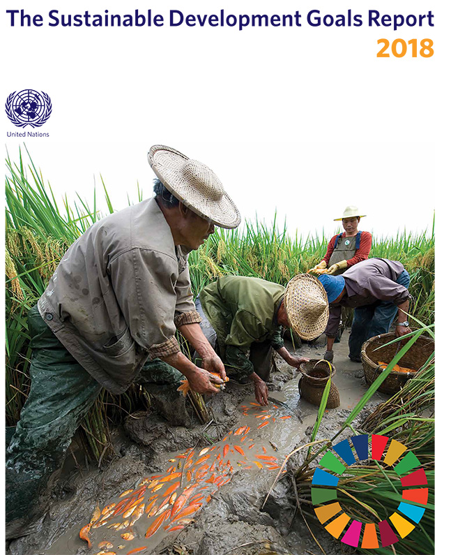 SDG Report 2018