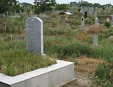 Deutsch: Friedhof in Samarkand English: Cemetery in Samarkand