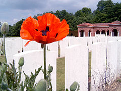 High Wood Cemetery, with poppy, in France