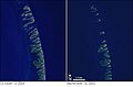 Chandeleur Islands before and after