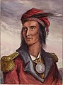 Tecumseh portrait