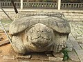 Stone tortoise in the main courtyard of the Kaiyuan Temple.