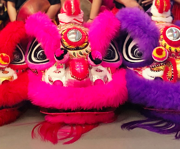 Fotografia de um fato tradicional chinês da dança do leão.