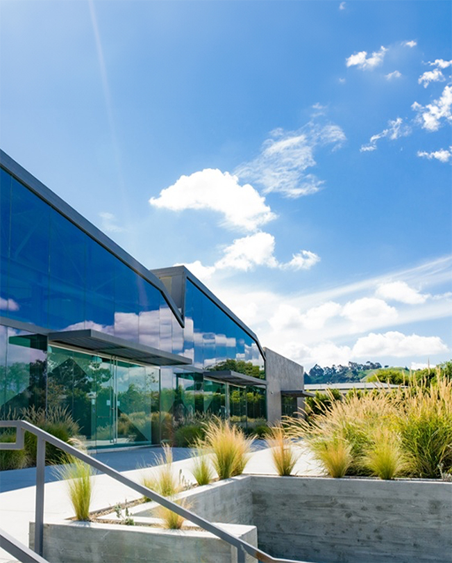 En gångväg kantad av växter i förgrunden och Apple-kontor med glasväggar i bakgrunden.