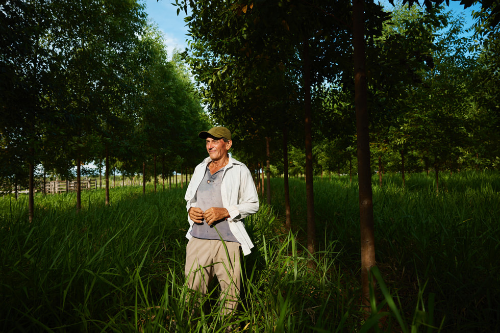 Serafino Gonzalez stojící v trávě uprostřed řady stromů