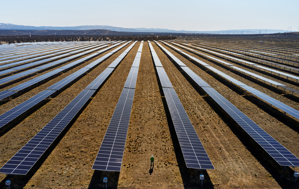 Paneles solares en una planta de energía solar.