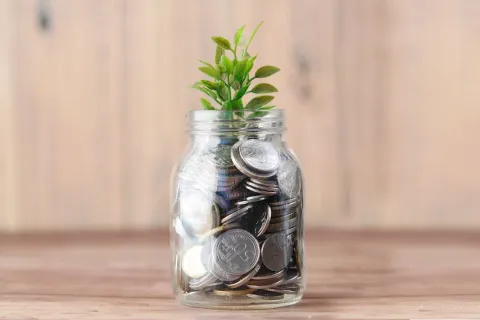 Jar of coins with plant growing out of the top