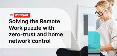 Solving the Remote Work Puzzle With Zero - Trust and Home Network Control