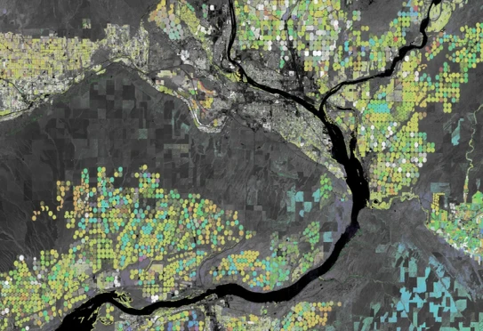 Imagen de Earth Engine generada por satélite que muestra los picos de agricultura estacionales cerca de los ríos Columbia y Snake, en el estado de Washington. Los campos con forma de círculos perfectos, son cultivos de maíz y soja, irrigados desde el centro de manera dinámica, que maduran en diferentes meses.