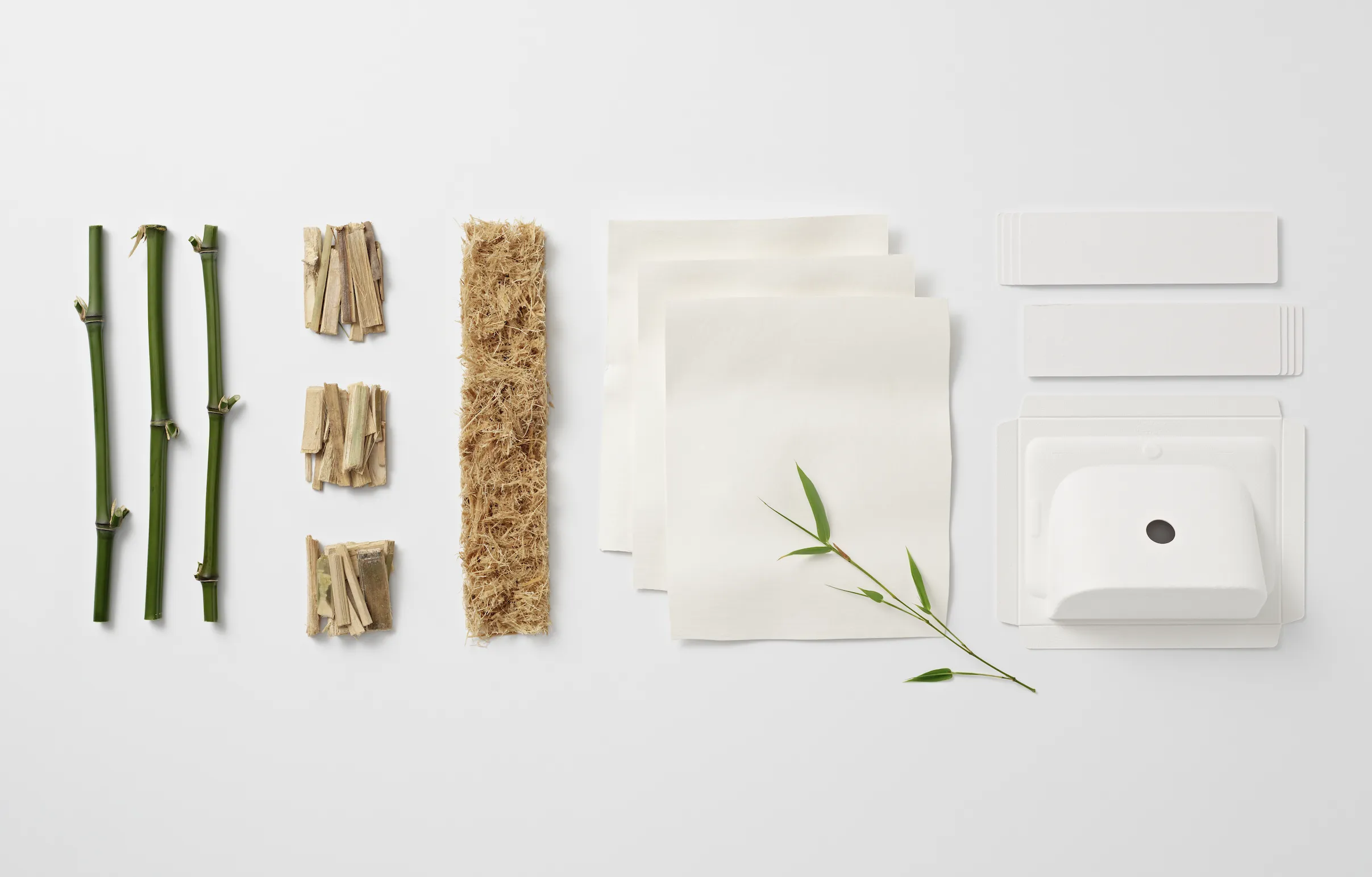 Sustainable bamboo packaging