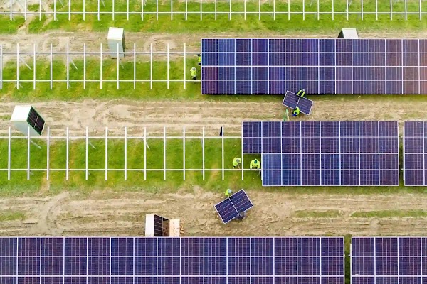 Un grupo de trabajadores construye hileras de paneles solares en un campo verde
