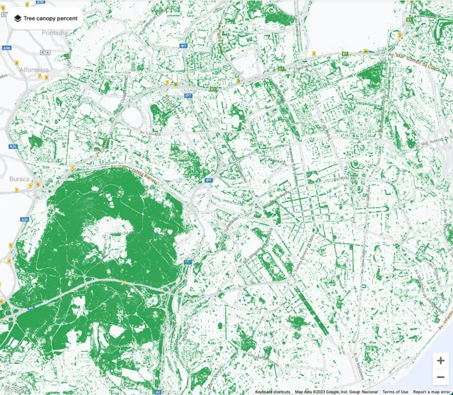 Mapa que muestra la cobertura arbórea en Lisboa, Portugal