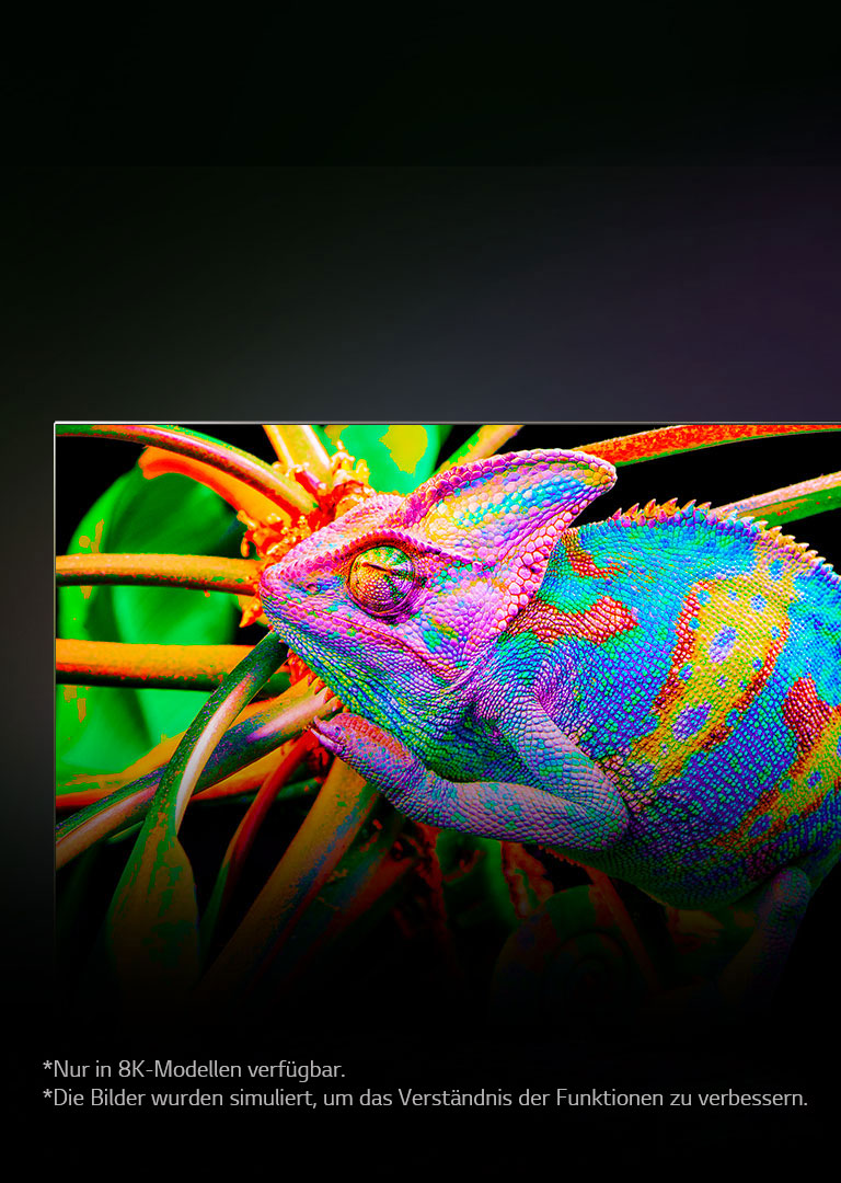 Auf einem Fernseher werden bunte Chamäleons herangezoomt, um die Haut im Detail zu zeigen.