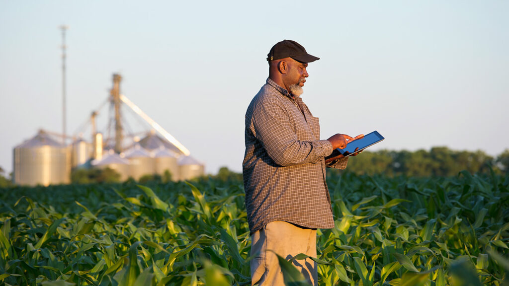MSR Africa Lab - photo of a farmer standing in a cornfield reviewing a tablet