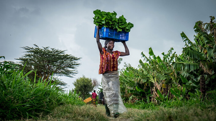 Woman in Africa carrying a bed of lettuce on her head