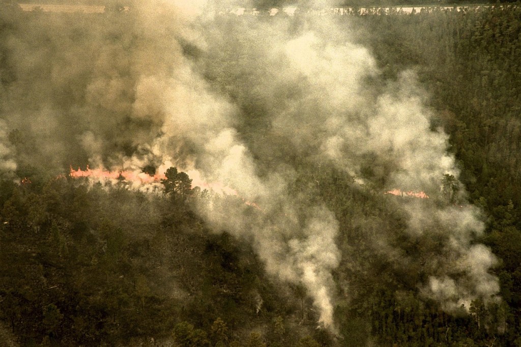 Smoke billows from the fires burning in Florida in 1998