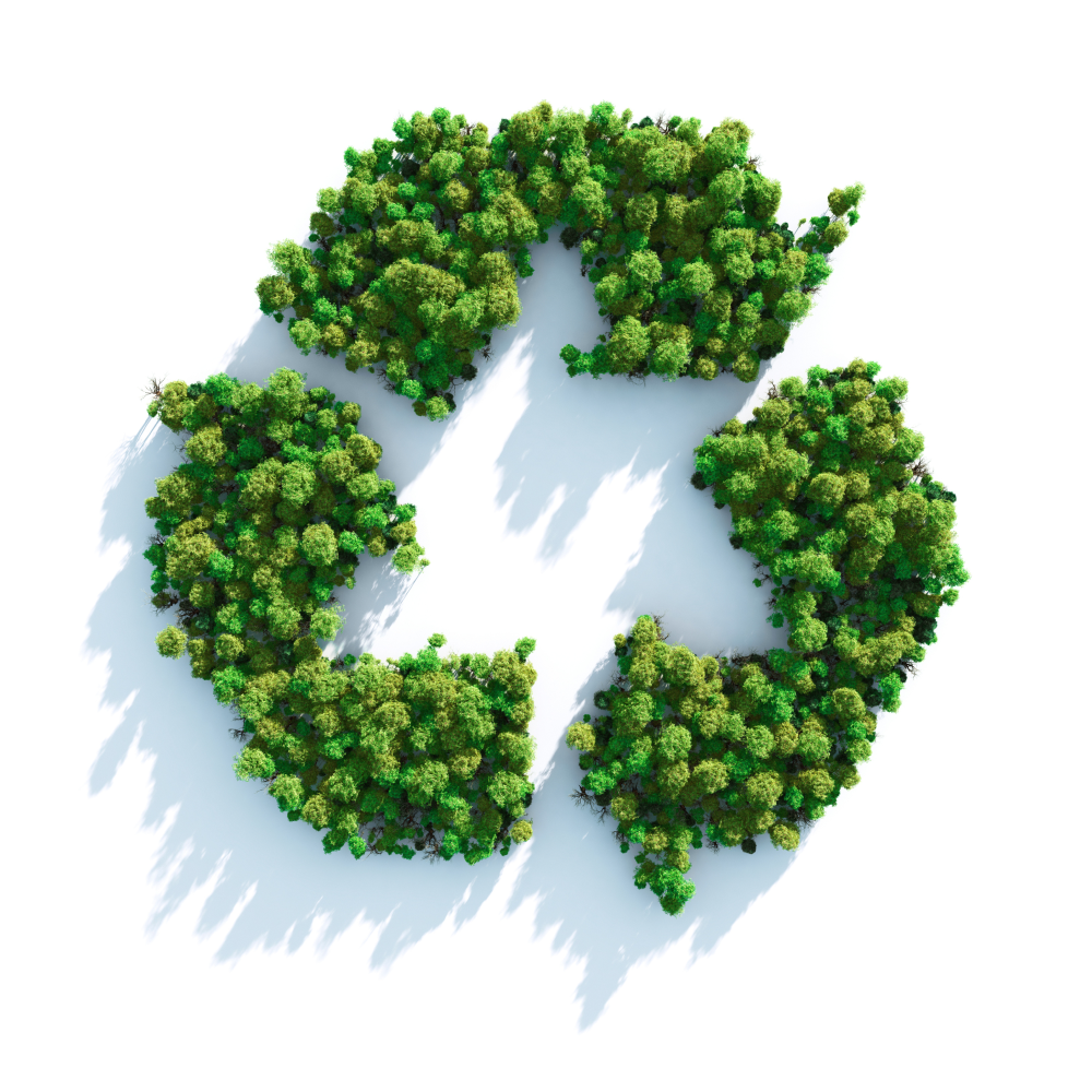 environmental stewardship recycle