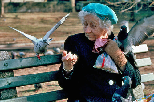 Una mujer sentada en un banco en invierno dándole de comer a las palomas.