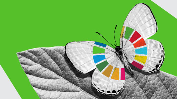 A black and white composition of a butterfly on a leaf, with the Sustainable Development Goals colored icon on her wings. 