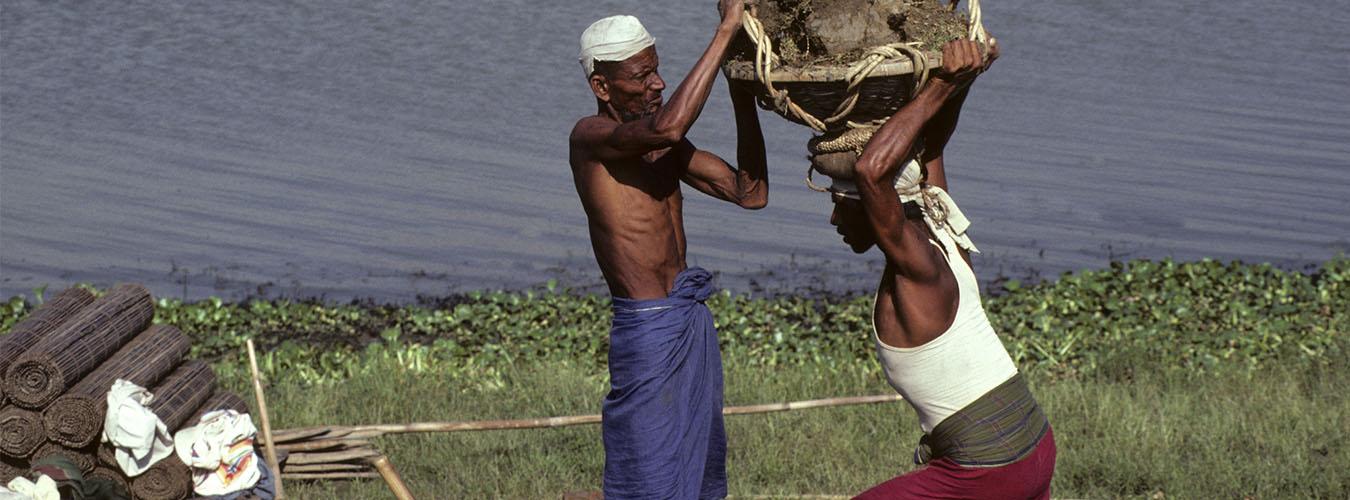 Two bengali laborers haul clumps of sod on their heads during an excavation.