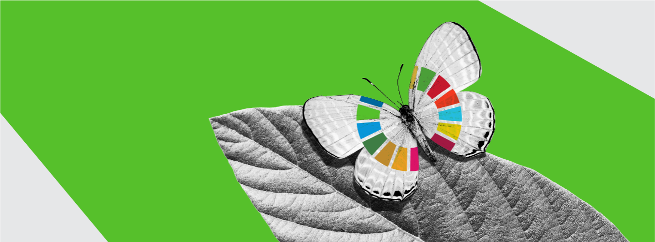 Composition en noir et blanc d'un papillon sur une feuille, avec l'icône colorée des objectifs de développement durable sur ses ailes.