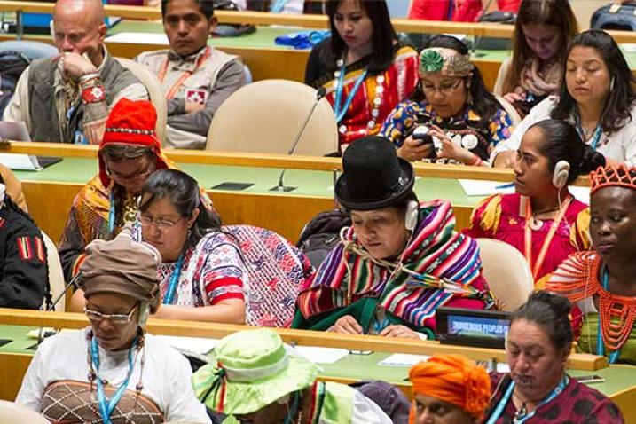 Participants in the opening ceremony of the Fifteenth Session of the United Nations Permanent Forum on Indigenous Issues. 