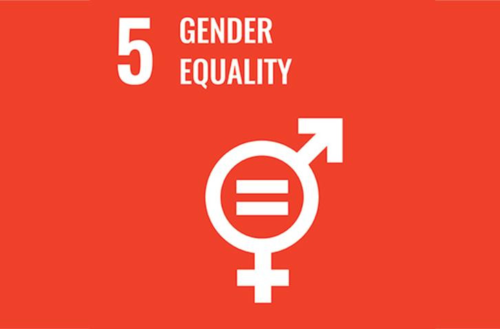 Logo of Goal 5 Gender Equality