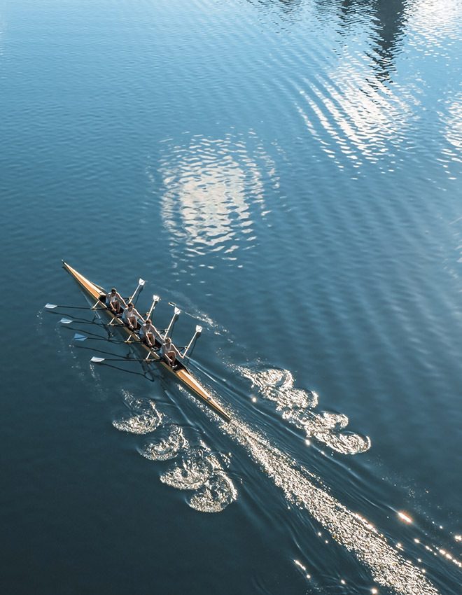 Four male rowers sculling on lake in sunshine
