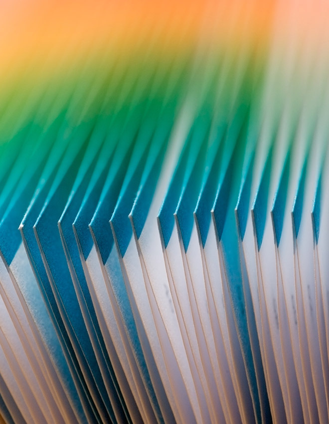 closeup of colorful file folders