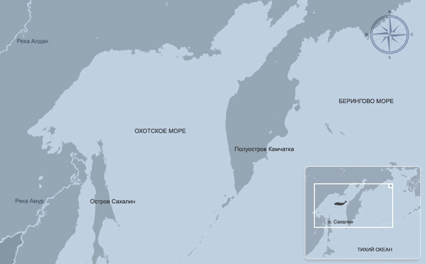 Охотском море карта. Охотское море на карте Тихого океана. Охотское море на карте. Остров ионы Охотское море карта.