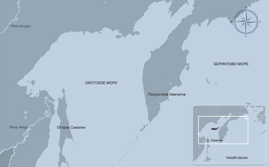 Охотское море на карте. Остров ионы Охотское море карта. Охотское и японское море на карте. Охотское и Берингово море. Полуостров в Охотском море.